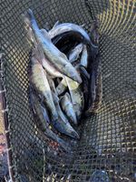 9daf8fd6-2bae-4063-9e01-62f129926f43 (2).jpg